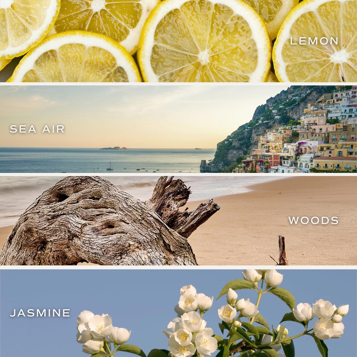 Coastal Lemon Non Toxic Candle – Soy Candle with Lemon, Sea Salt, Woods, Jasmine Aroma – 40 Hour Burn – 9oz Clear Glass Jar – Fresh Mediterranean Home Fragrance