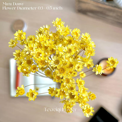 Natural - Dried - Flowers Brazilian Small Star Daisy Dried Decorative Mini Chamomile Bouquet for Wedding Floral Arrangements Home Decorations Valentine's Day Gifts (200 Stems) (Yellow )