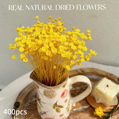 Natural - Dried - Flowers Brazilian Small Star Daisy Dried Decorative Mini Chamomile Bouquet for Wedding Floral Arrangements Home Decorations Valentine's Day Gifts (200 Stems) (Yellow )