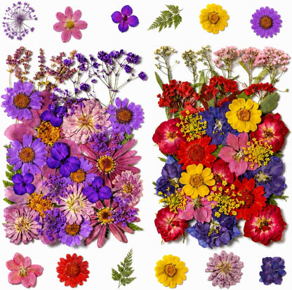 70 pcs Dried Flowers for Resin, Natural Flowers and Leaves Kit with Tweezers， Vacuum Sealed DIY Pressed Flowers for Jewelry Molds, Candle Soap Making, Scrapbook, Nail Art (Colorful-C)