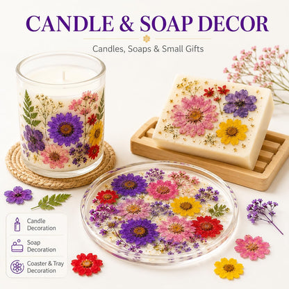 70 pcs Dried Flowers for Resin, Natural Flowers and Leaves Kit with Tweezers， Vacuum Sealed DIY Pressed Flowers for Jewelry Molds, Candle Soap Making, Scrapbook, Nail Art (Colorful-C)