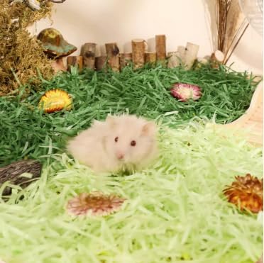 MANON ROSA Small Animal Bedding Colorful Hamster Nesting Paper Material Cozy Safe for Bird Guinea Pig Chinchilla Mice Gerbils Rat Pets (Yellow Black)