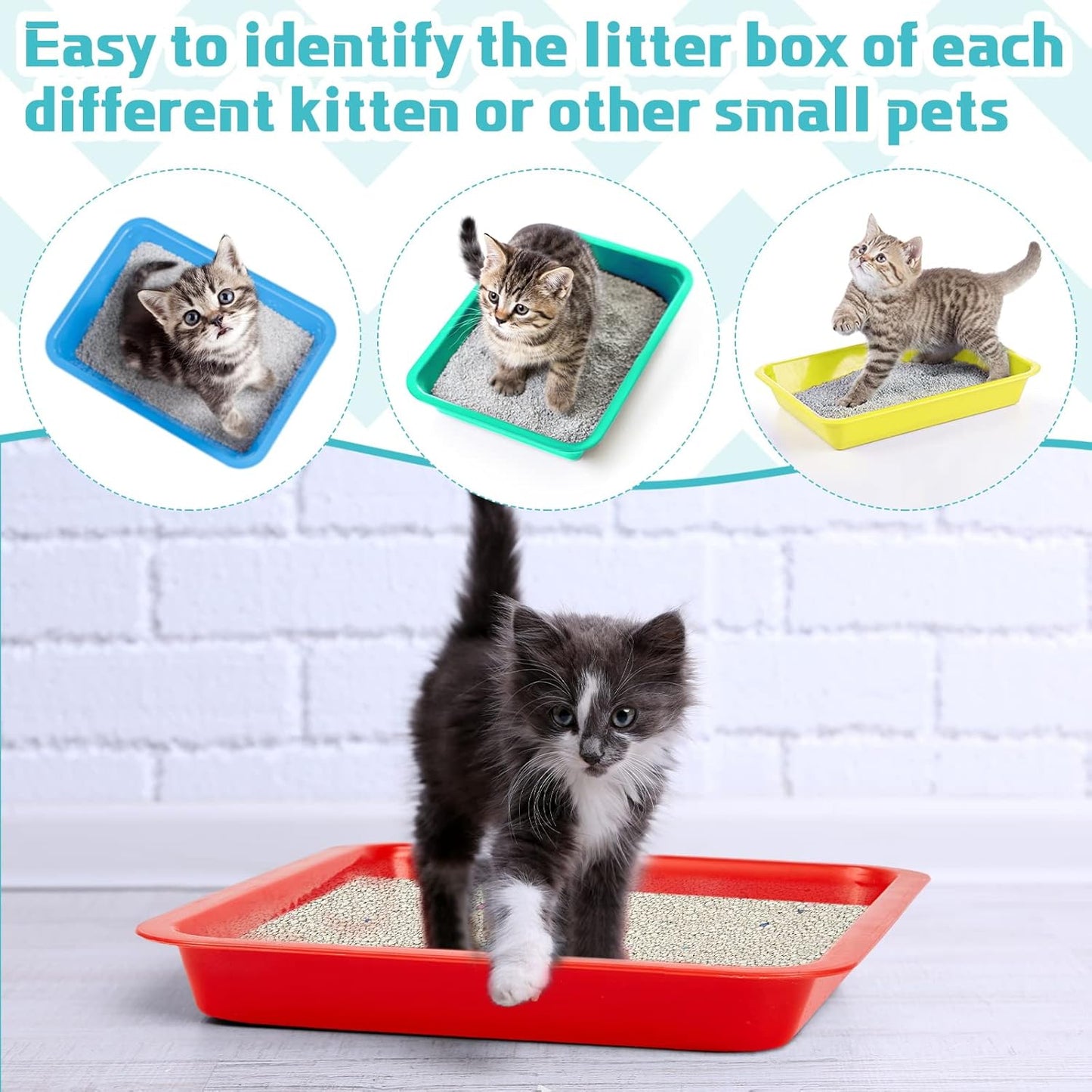 for you 8 Pcs Kitten Litter Box 11 x 8.5 X1.2 Inch Plastic Portable Small Litter Pan Low Entry Waterproof Bunny Cat Shallow Tray Travel Toilet for Kitty Guinea Pig Rabbit Small Pet(Multicolor)