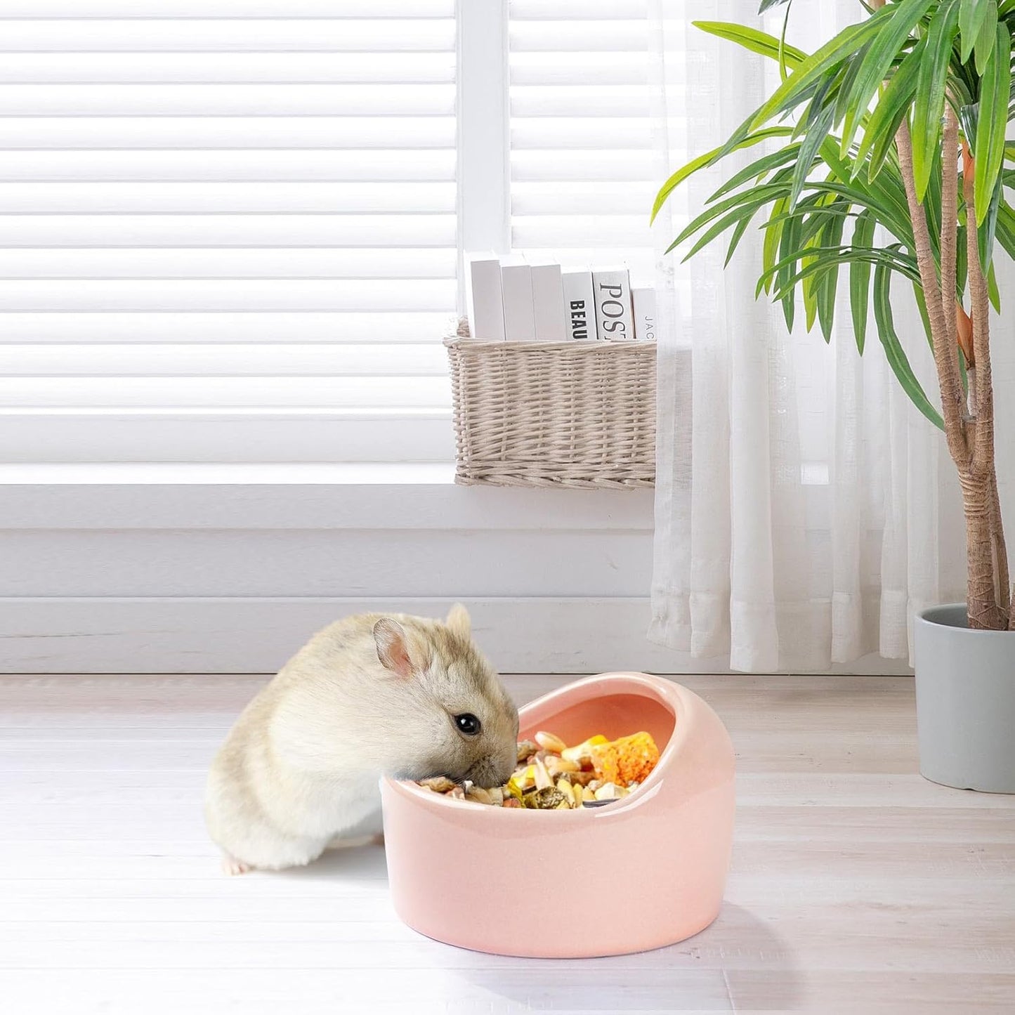 4 Pack Ceramic Hamster Food Bowl, Splash-Proof, Tip-Proof, Chew-Resistant, Easy to Clean Small Animal Bowl for Hamster/Guinea Pig/Chinchilla/Hedgehog, 1 Pink + 1 Blue + 1 Green + 1 Yellow