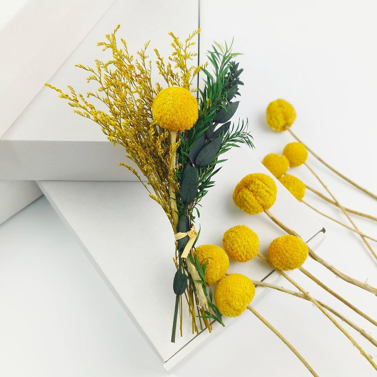 Natural Craspedia Dried Flowers Yellow Billy Buttons Balls Bouquet Bundles, Real Freshly Harvested Dry Plant Bunch Arrangements Decorate for Home Crafts, Party, Wedding, Store