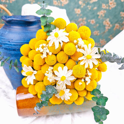 Natural Craspedia Dried Flowers Yellow Billy Buttons Balls Bouquet Bundles, Real Freshly Harvested Dry Plant Bunch Arrangements Decorate for Home Crafts, Party, Wedding, Store