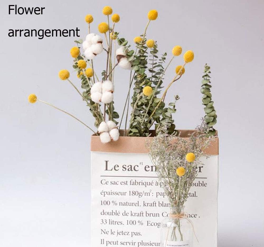 Natural Craspedia Dried Flowers Yellow Billy Buttons Balls Bouquet Bundles, Real Freshly Harvested Dry Plant Bunch Arrangements Decorate for Home Crafts, Party, Wedding, Store