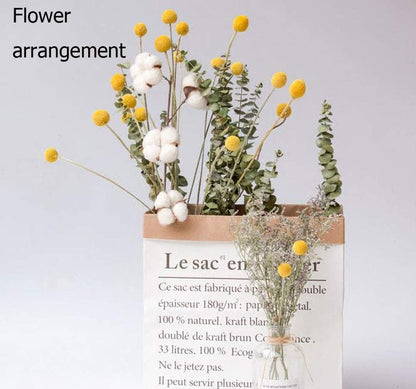 Natural Craspedia Dried Flowers Yellow Billy Buttons Balls Bouquet Bundles, Real Freshly Harvested Dry Plant Bunch Arrangements Decorate for Home Crafts, Party, Wedding, Store