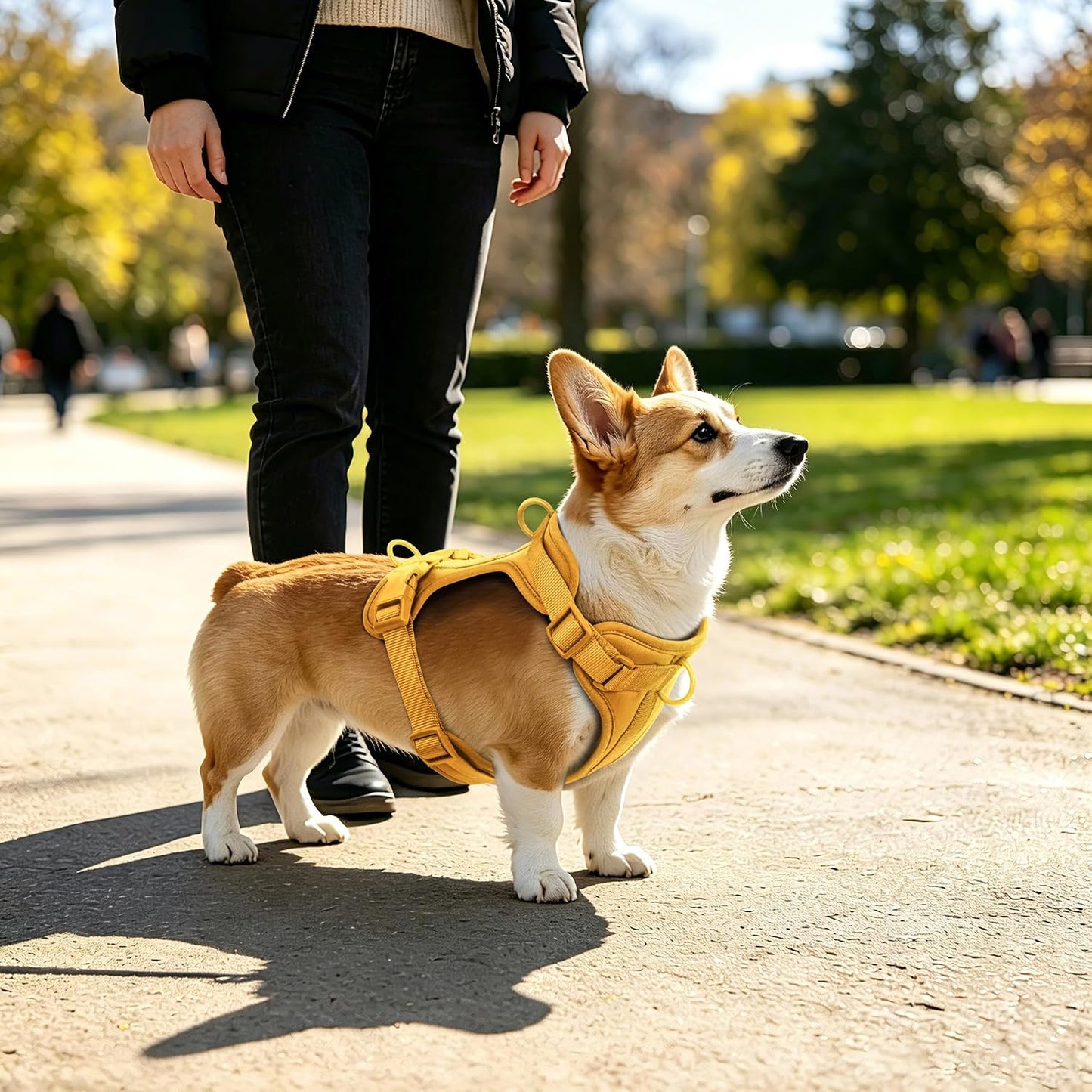 Wisedog No Pull Dog Harness, Butter Yellow, Large | Lightweight, Adjustable Breathable Pet Vest, Soft & Comfortable Cushion, Small Medium Large Dogs