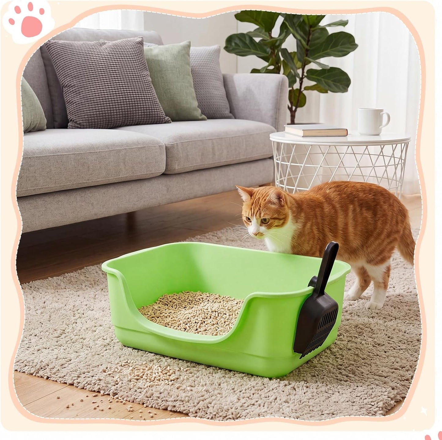 2 Pack Small Cat Litter Boxes with Scoops, Plastic Open Top Litter Tray Pan for Kitty, with High Sides and Low Entry, Anti Splash and Easy to Clean, for Indoor Little Pets Puppy(Yellow,Green)