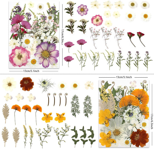 100P Vintage Warm Tone Dried Pressed Flowers | Cream caramel yellow palette, for resin art scrapbook journal jewelry rustic home decor frame, tweezers included