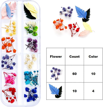 Dried Flowers for Nail Art Resin Jewelry Crafts - Natural Small Mini Tiny Pressed Real Dry Flower Sets