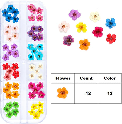 Dried Flowers for Nail Art Resin Jewelry Crafts - Natural Small Mini Tiny Pressed Real Dry Flower Sets