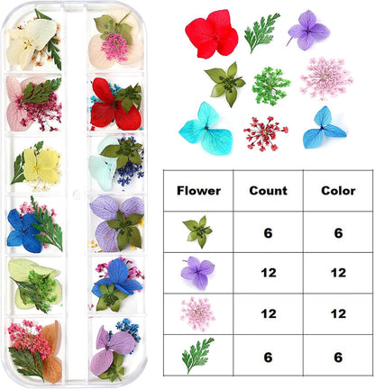 Dried Flowers for Nail Art Resin Jewelry Crafts - Natural Small Mini Tiny Pressed Real Dry Flower Sets
