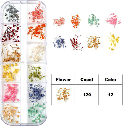 Dried Flowers for Nail Art Resin Jewelry Crafts - Natural Small Mini Tiny Pressed Real Dry Flower Sets