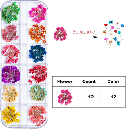 Dried Flowers for Nail Art Resin Jewelry Crafts - Natural Small Mini Tiny Pressed Real Dry Flower Sets