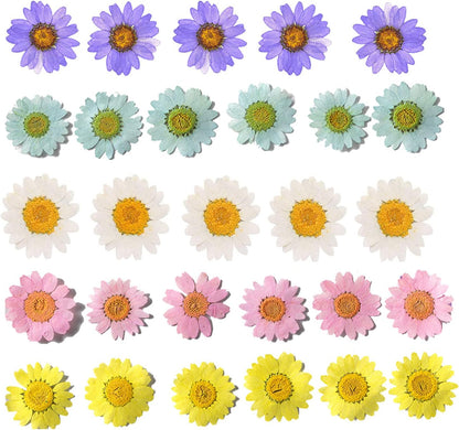 50pcs Natural Dried Daisy Flower, Vacuum Packaging, Pressed Flower for House Decoration, Jewelry Making, Phone case Decoration (Yellow)
