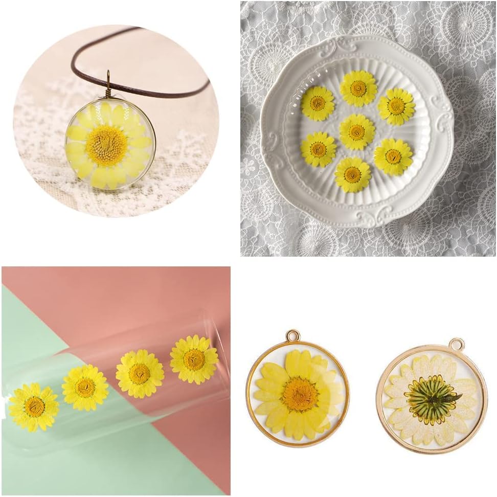 50pcs Natural Dried Daisy Flower, Vacuum Packaging, Pressed Flower for House Decoration, Jewelry Making, Phone case Decoration (Yellow)