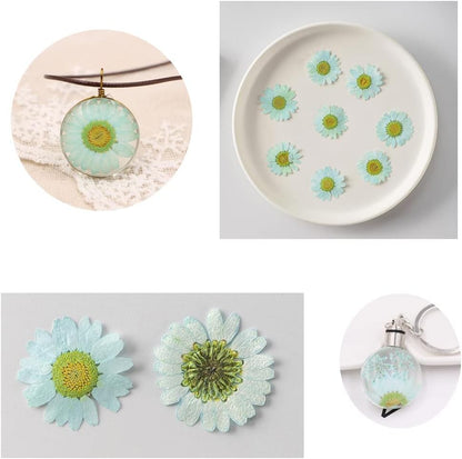 50pcs Natural Dried Daisy Flower, Vacuum Packaging, Pressed Flower for House Decoration, Jewelry Making, Phone case Decoration (Yellow)