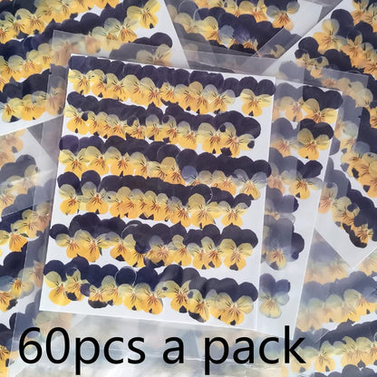 50pcs Natural Dried Daisy Flower, Vacuum Packaging, Pressed Flower for House Decoration, Jewelry Making, Phone case Decoration (Yellow)