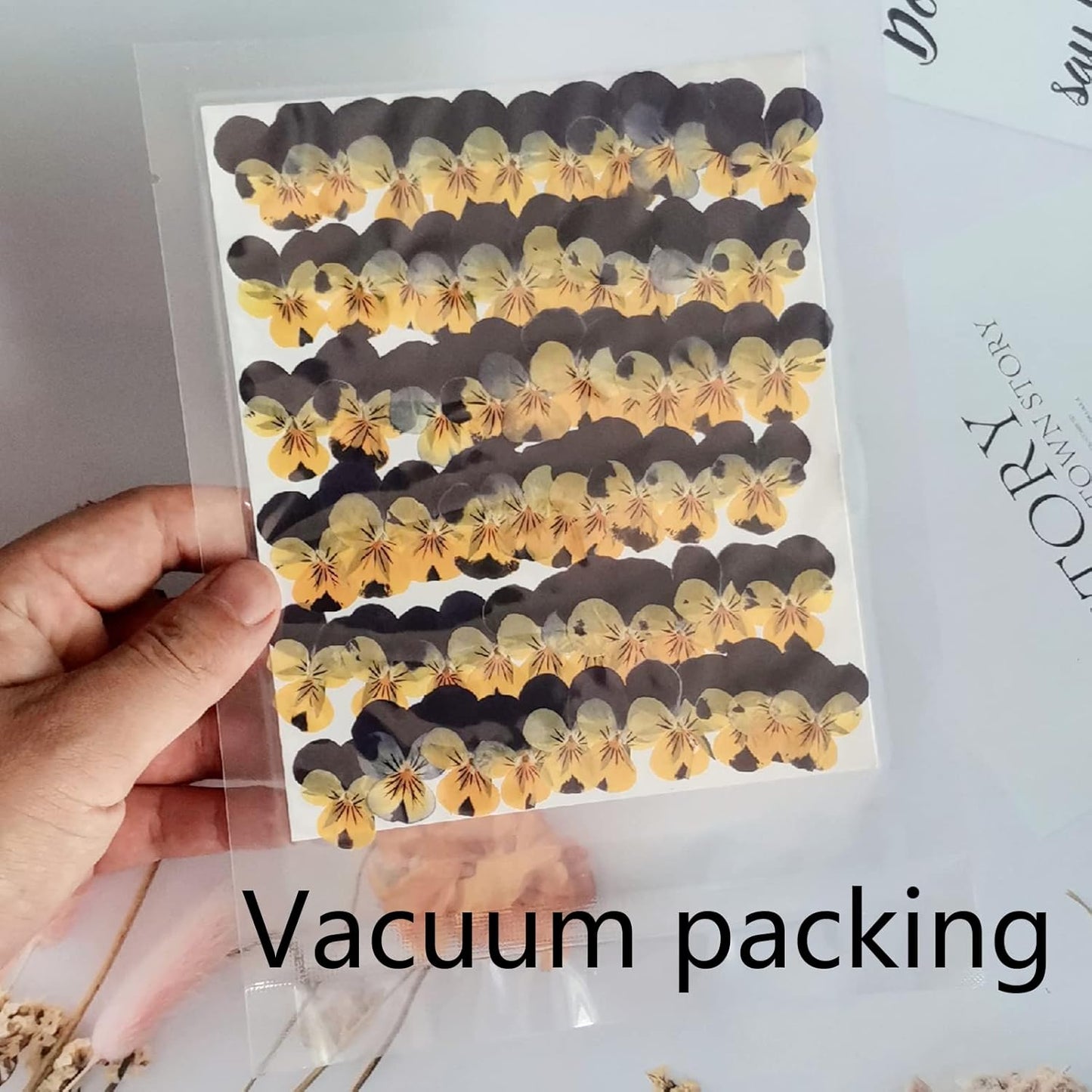 50pcs Natural Dried Daisy Flower, Vacuum Packaging, Pressed Flower for House Decoration, Jewelry Making, Phone case Decoration (Yellow)