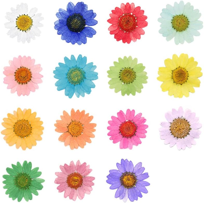 50pcs Natural Dried Daisy Flower, Vacuum Packaging, Pressed Flower for House Decoration, Jewelry Making, Phone case Decoration (Yellow)