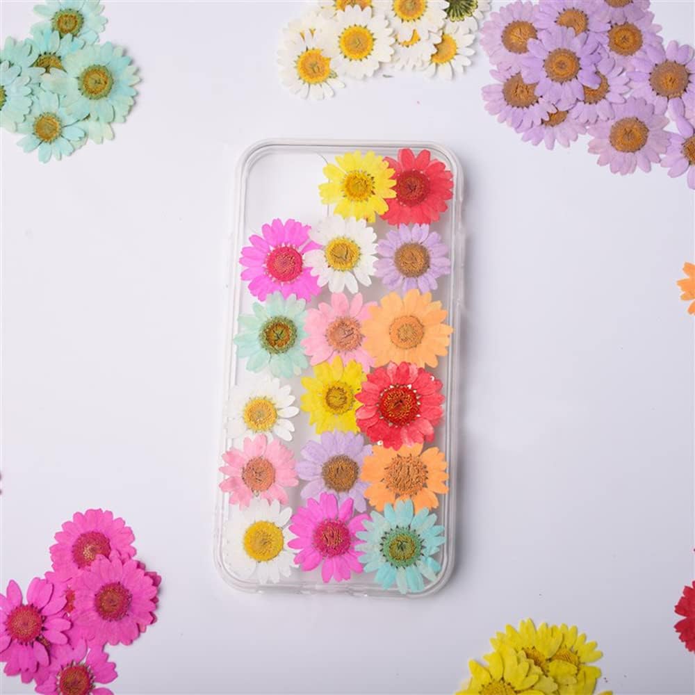 50pcs Natural Dried Daisy Flower, Vacuum Packaging, Pressed Flower for House Decoration, Jewelry Making, Phone case Decoration (Yellow)