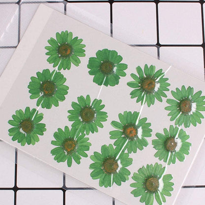 50pcs Natural Dried Daisy Flower, Vacuum Packaging, Pressed Flower for House Decoration, Jewelry Making, Phone case Decoration (Yellow)