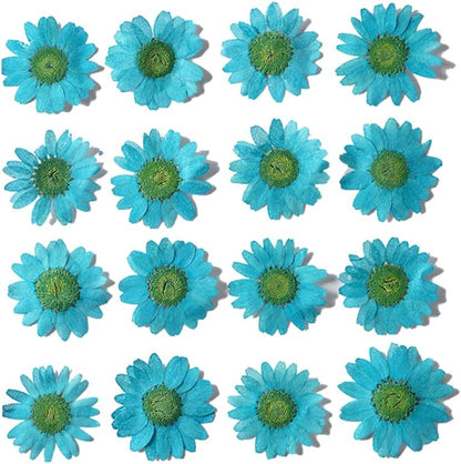 50pcs Natural Dried Daisy Flower, Vacuum Packaging, Pressed Flower for House Decoration, Jewelry Making, Phone case Decoration (Yellow)