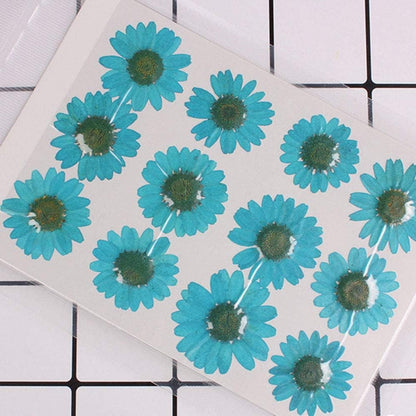 50pcs Natural Dried Daisy Flower, Vacuum Packaging, Pressed Flower for House Decoration, Jewelry Making, Phone case Decoration (Yellow)