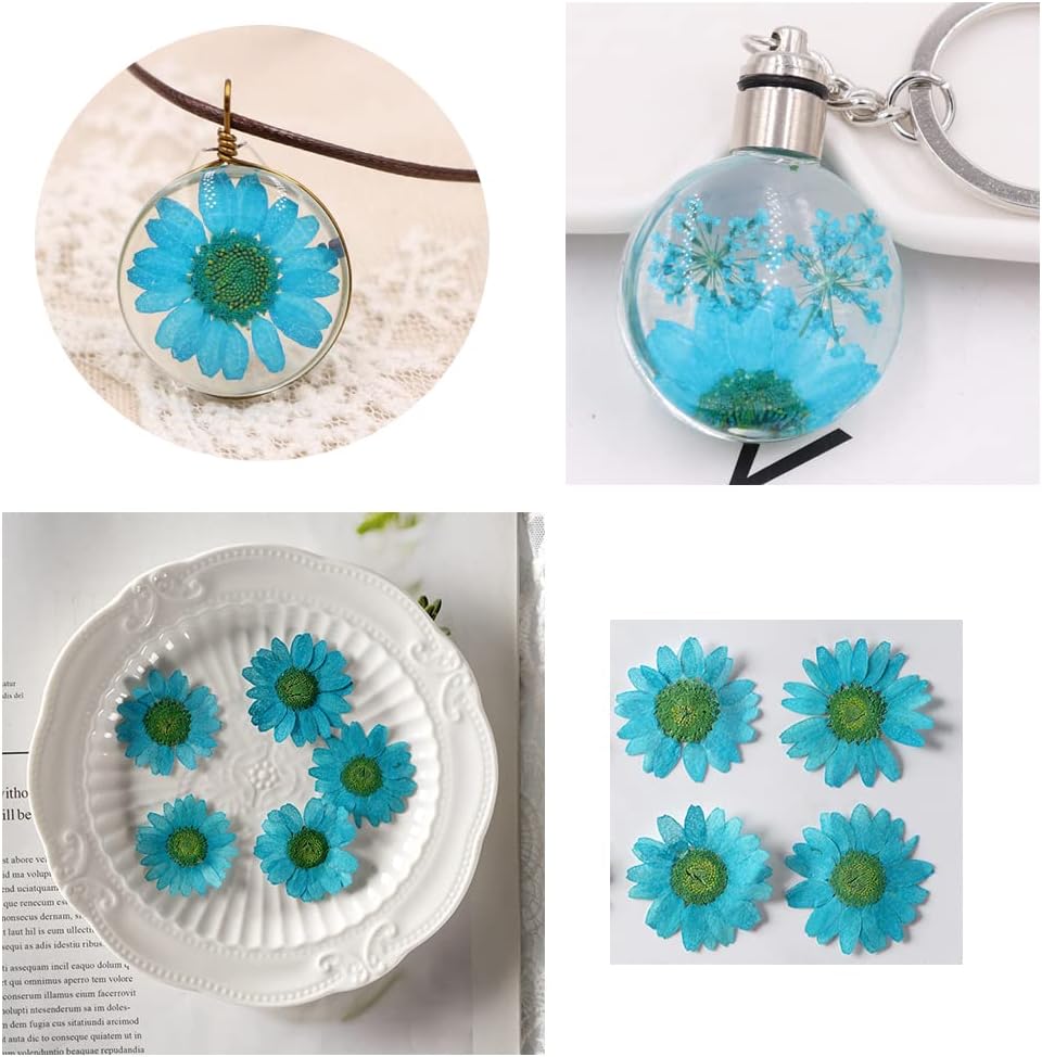 50pcs Natural Dried Daisy Flower, Vacuum Packaging, Pressed Flower for House Decoration, Jewelry Making, Phone case Decoration (Yellow)