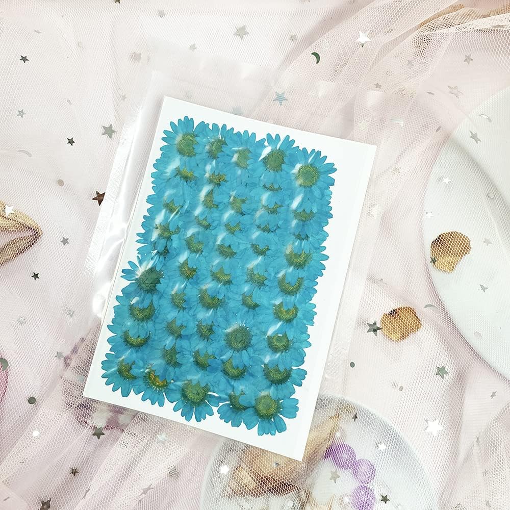 50pcs Natural Dried Daisy Flower, Vacuum Packaging, Pressed Flower for House Decoration, Jewelry Making, Phone case Decoration (Yellow)