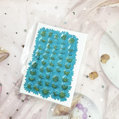 50pcs Natural Dried Daisy Flower, Vacuum Packaging, Pressed Flower for House Decoration, Jewelry Making, Phone case Decoration (Yellow)