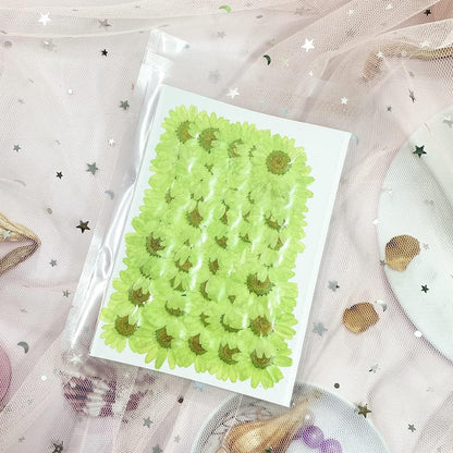50pcs Natural Dried Daisy Flower, Vacuum Packaging, Pressed Flower for House Decoration, Jewelry Making, Phone case Decoration (Yellow)