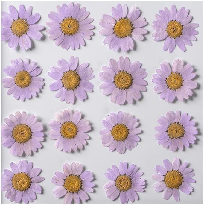 50pcs Natural Dried Daisy Flower, Vacuum Packaging, Pressed Flower for House Decoration, Jewelry Making, Phone case Decoration (Yellow)