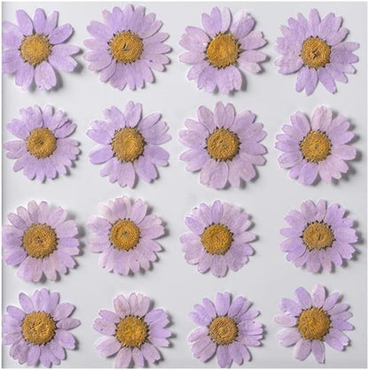 50pcs Natural Dried Daisy Flower, Vacuum Packaging, Pressed Flower for House Decoration, Jewelry Making, Phone case Decoration (Yellow)