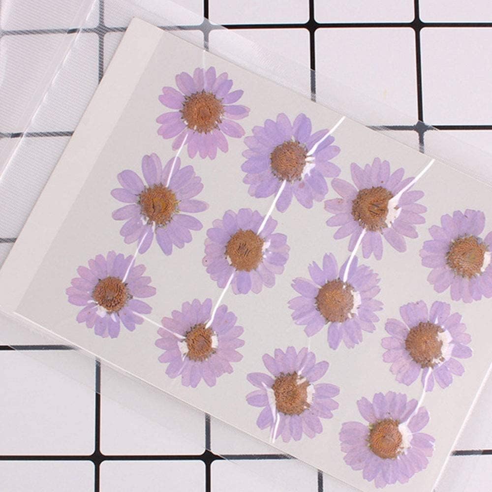 50pcs Natural Dried Daisy Flower, Vacuum Packaging, Pressed Flower for House Decoration, Jewelry Making, Phone case Decoration (Yellow)