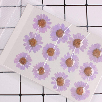 50pcs Natural Dried Daisy Flower, Vacuum Packaging, Pressed Flower for House Decoration, Jewelry Making, Phone case Decoration (Yellow)