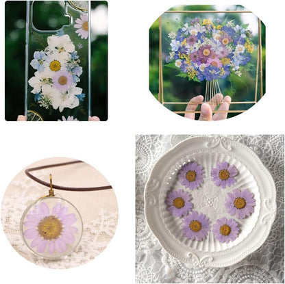 50pcs Natural Dried Daisy Flower, Vacuum Packaging, Pressed Flower for House Decoration, Jewelry Making, Phone case Decoration (Yellow)