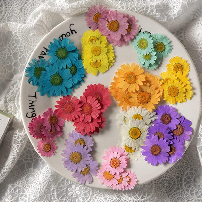 50pcs Natural Dried Daisy Flower, Vacuum Packaging, Pressed Flower for House Decoration, Jewelry Making, Phone case Decoration (Yellow)