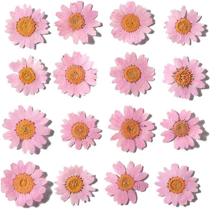 50pcs Natural Dried Daisy Flower, Vacuum Packaging, Pressed Flower for House Decoration, Jewelry Making, Phone case Decoration (Yellow)