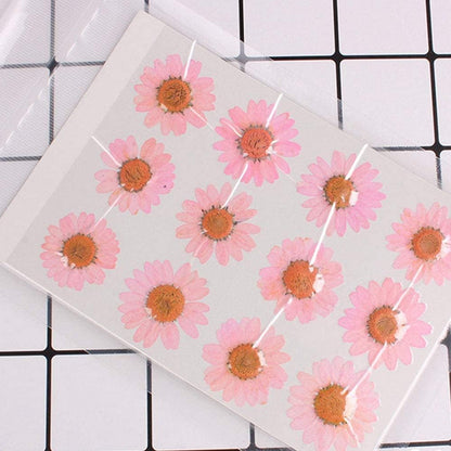 50pcs Natural Dried Daisy Flower, Vacuum Packaging, Pressed Flower for House Decoration, Jewelry Making, Phone case Decoration (Yellow)