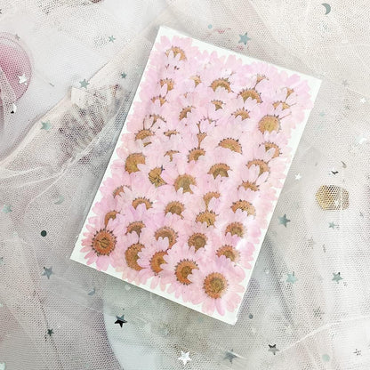 50pcs Natural Dried Daisy Flower, Vacuum Packaging, Pressed Flower for House Decoration, Jewelry Making, Phone case Decoration (Yellow)