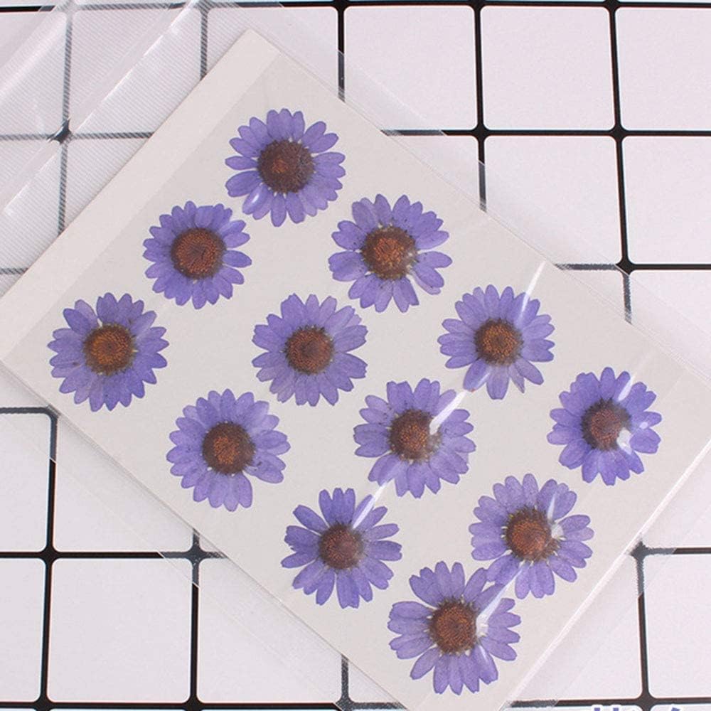 50pcs Natural Dried Daisy Flower, Vacuum Packaging, Pressed Flower for House Decoration, Jewelry Making, Phone case Decoration (Yellow)