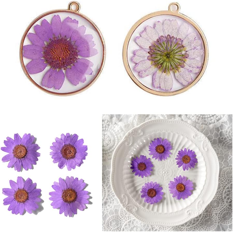 50pcs Natural Dried Daisy Flower, Vacuum Packaging, Pressed Flower for House Decoration, Jewelry Making, Phone case Decoration (Yellow)