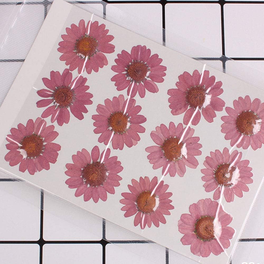 50pcs Natural Dried Daisy Flower, Vacuum Packaging, Pressed Flower for House Decoration, Jewelry Making, Phone case Decoration (Yellow)