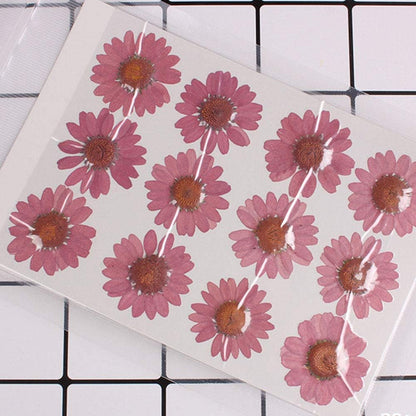 50pcs Natural Dried Daisy Flower, Vacuum Packaging, Pressed Flower for House Decoration, Jewelry Making, Phone case Decoration (Yellow)