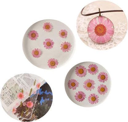 50pcs Natural Dried Daisy Flower, Vacuum Packaging, Pressed Flower for House Decoration, Jewelry Making, Phone case Decoration (Yellow)