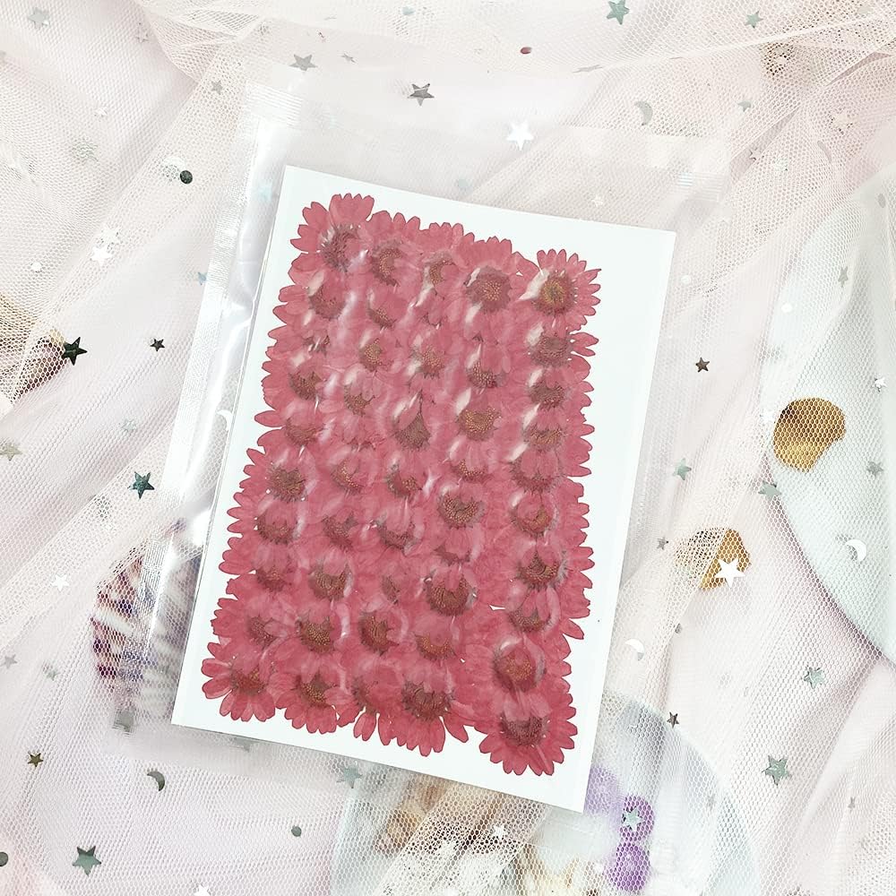 50pcs Natural Dried Daisy Flower, Vacuum Packaging, Pressed Flower for House Decoration, Jewelry Making, Phone case Decoration (Yellow)