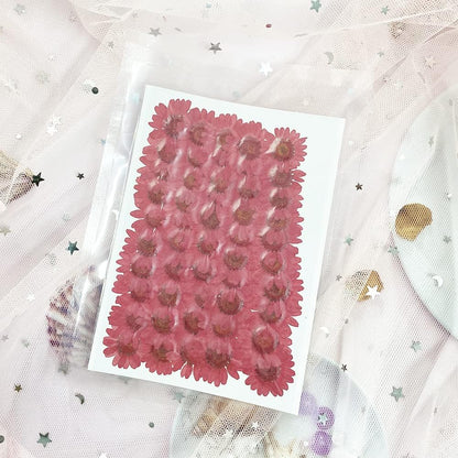 50pcs Natural Dried Daisy Flower, Vacuum Packaging, Pressed Flower for House Decoration, Jewelry Making, Phone case Decoration (Yellow)
